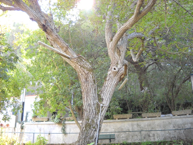 DSCN0024