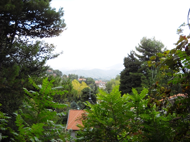 DSCN0036